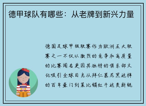 德甲球队有哪些：从老牌到新兴力量