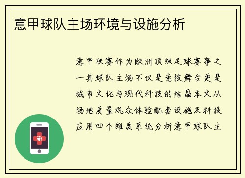 意甲球队主场环境与设施分析